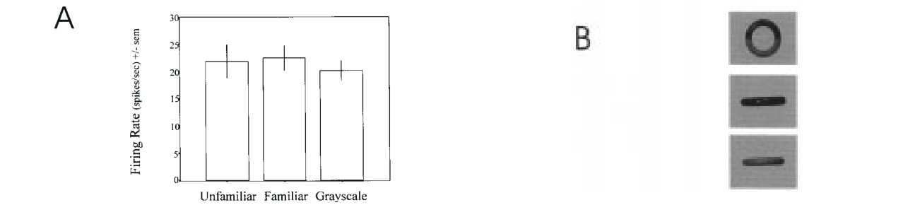 Paper 251 · fig-8