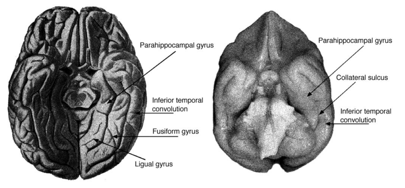 Paper 252 · fig-12
