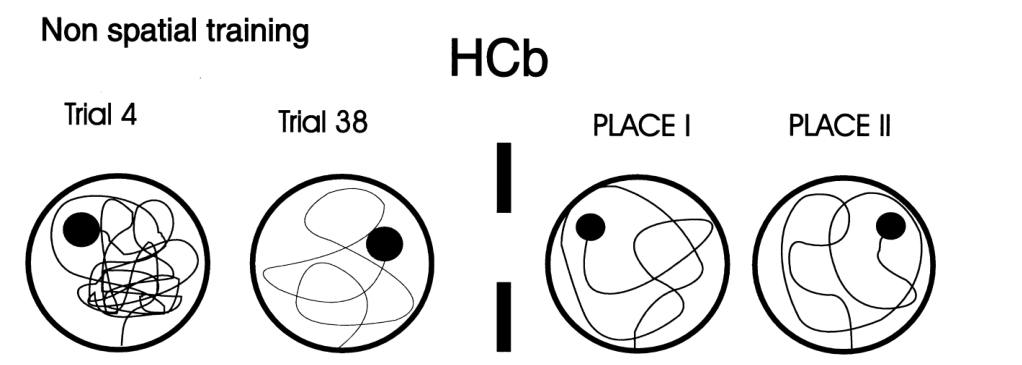 Paper 253 · fig-11