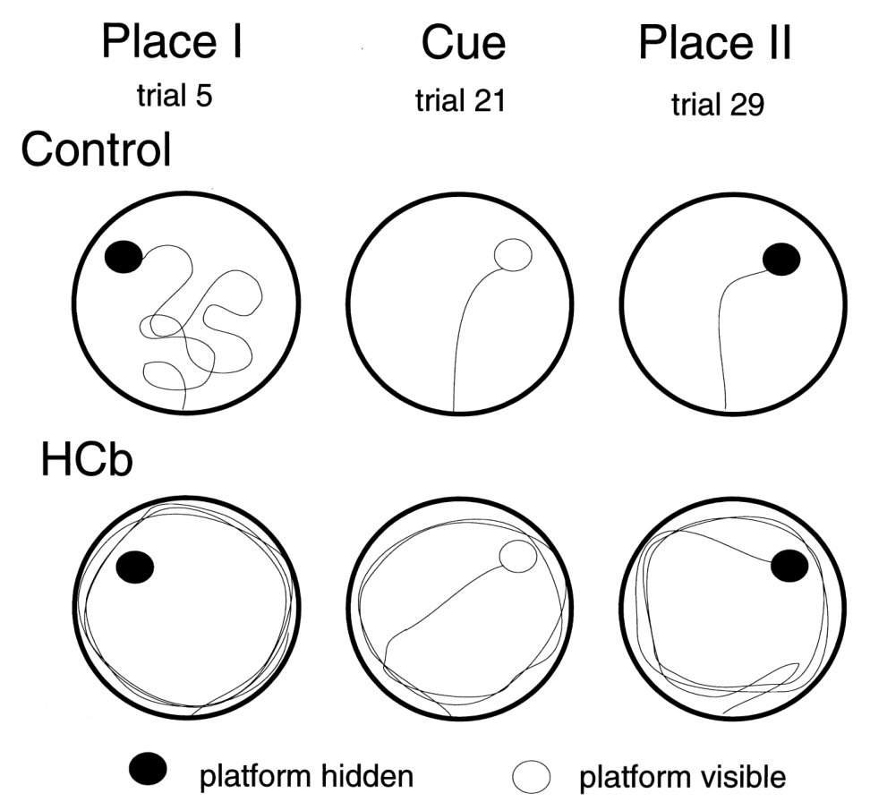 Paper 253 · fig-3