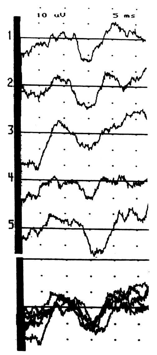 Paper 255 · fig-2
