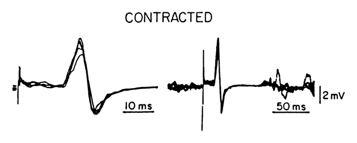 Paper 255 · fig-4