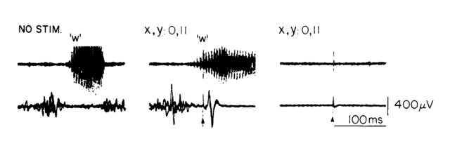 Paper 255 · fig-7