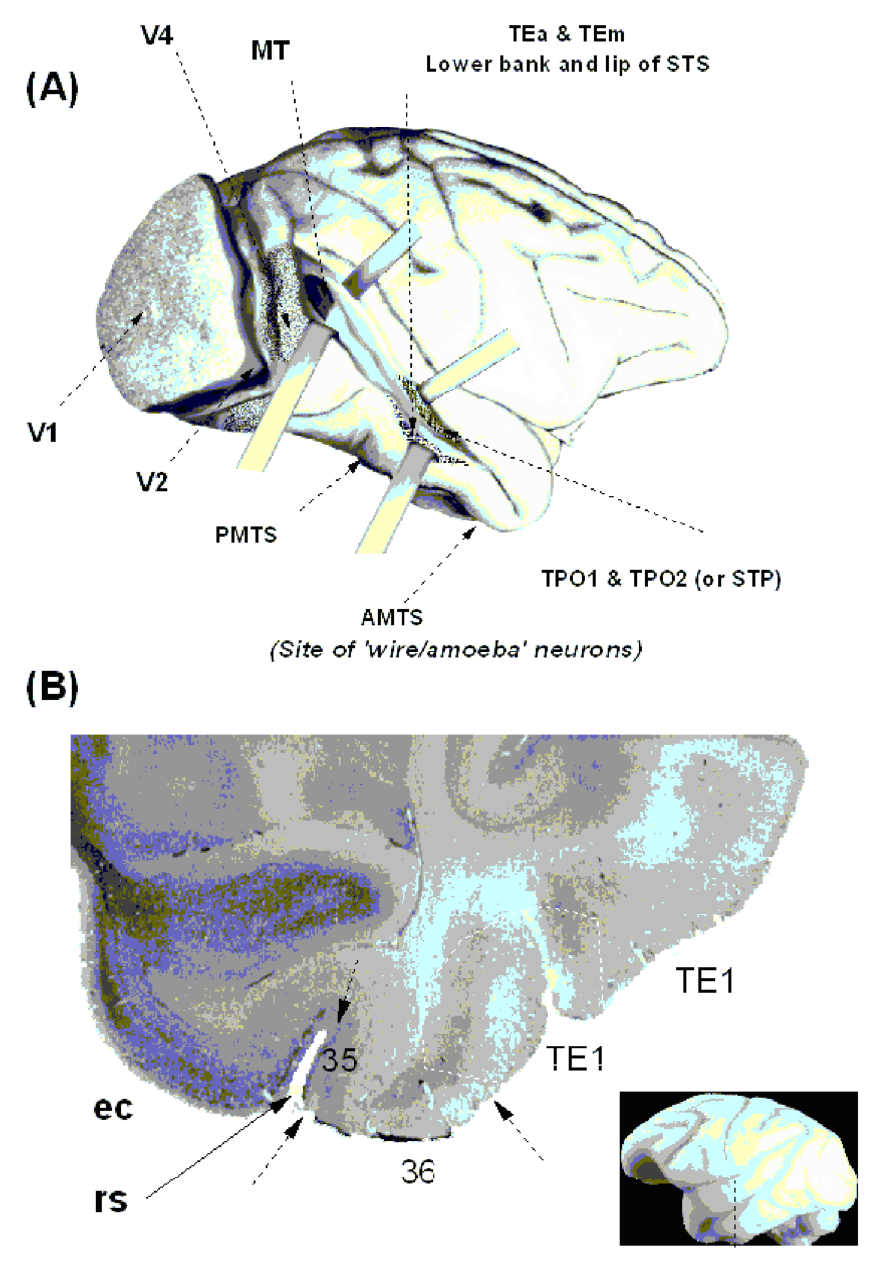 Paper 261 · fig-1