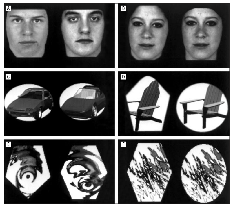 Paper 262 · fig-1