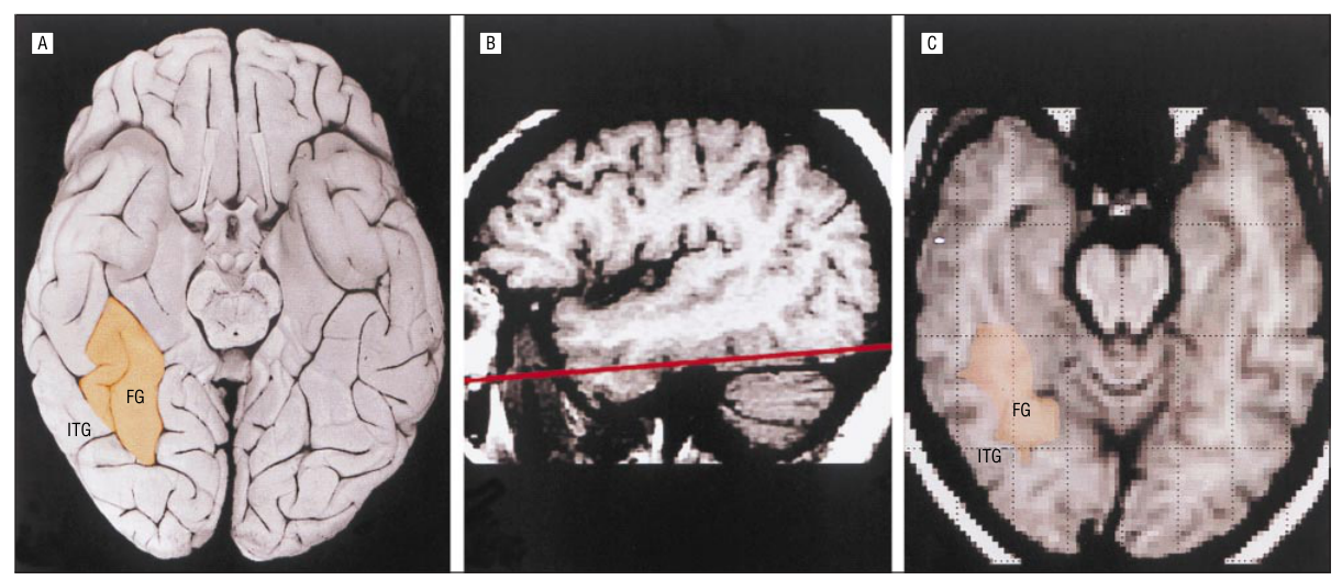 Paper 262 · fig-2