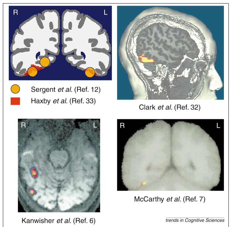 Paper 263 · fig-2