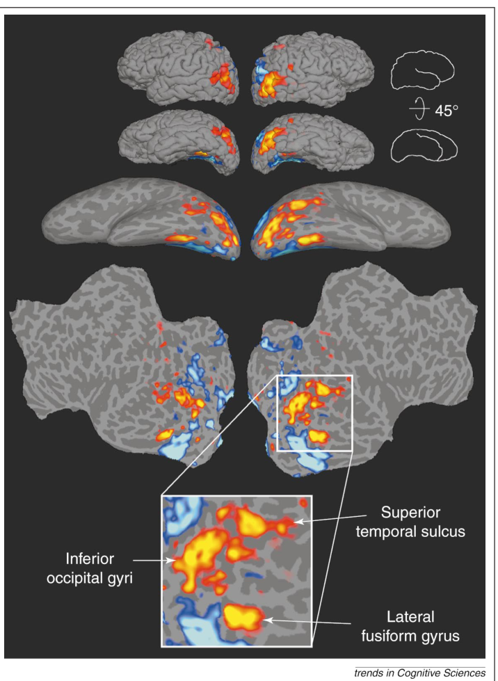 Paper 263 · fig-3