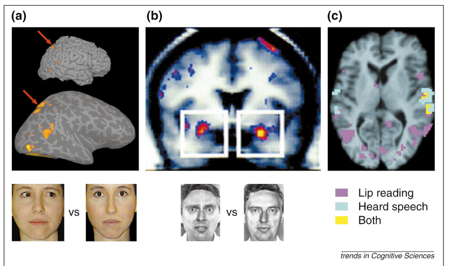 Paper 263 · fig-4