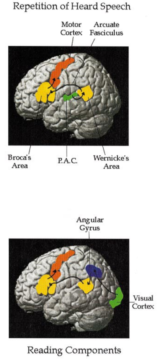 Paper 266 · fig-1
