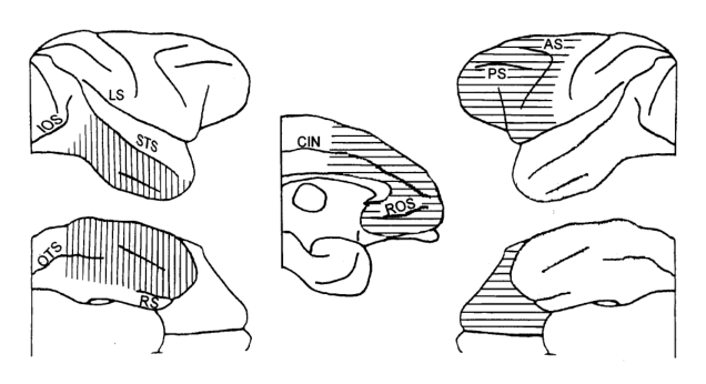 Paper 272 · fig-1