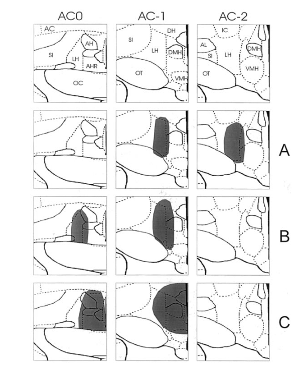 Paper 272 · fig-2