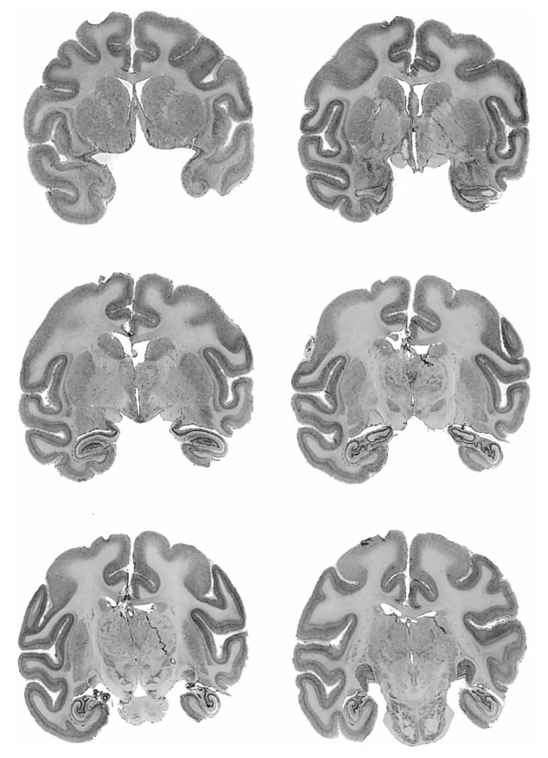 Paper 272 · fig-4