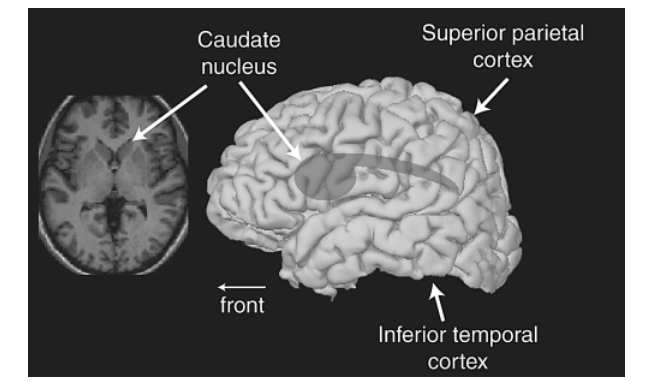 Paper 274 · fig-1
