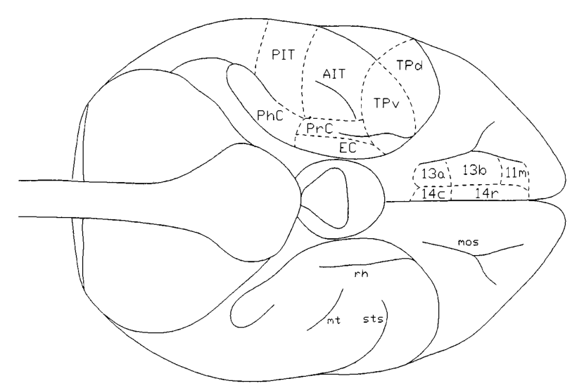 Paper 275 · fig-1
