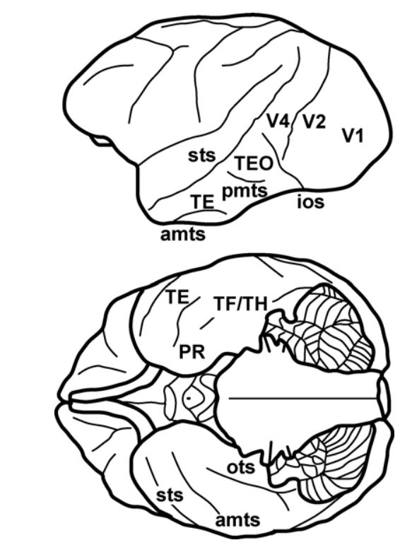 Paper 277 · fig-1