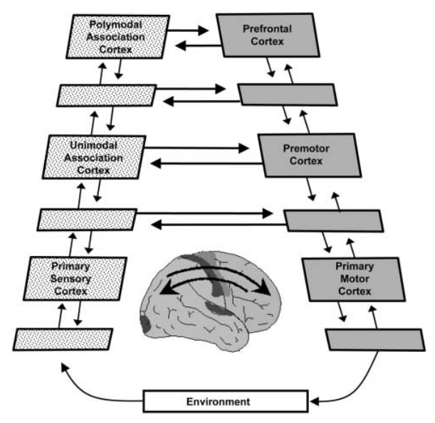 Paper 278 · fig-6