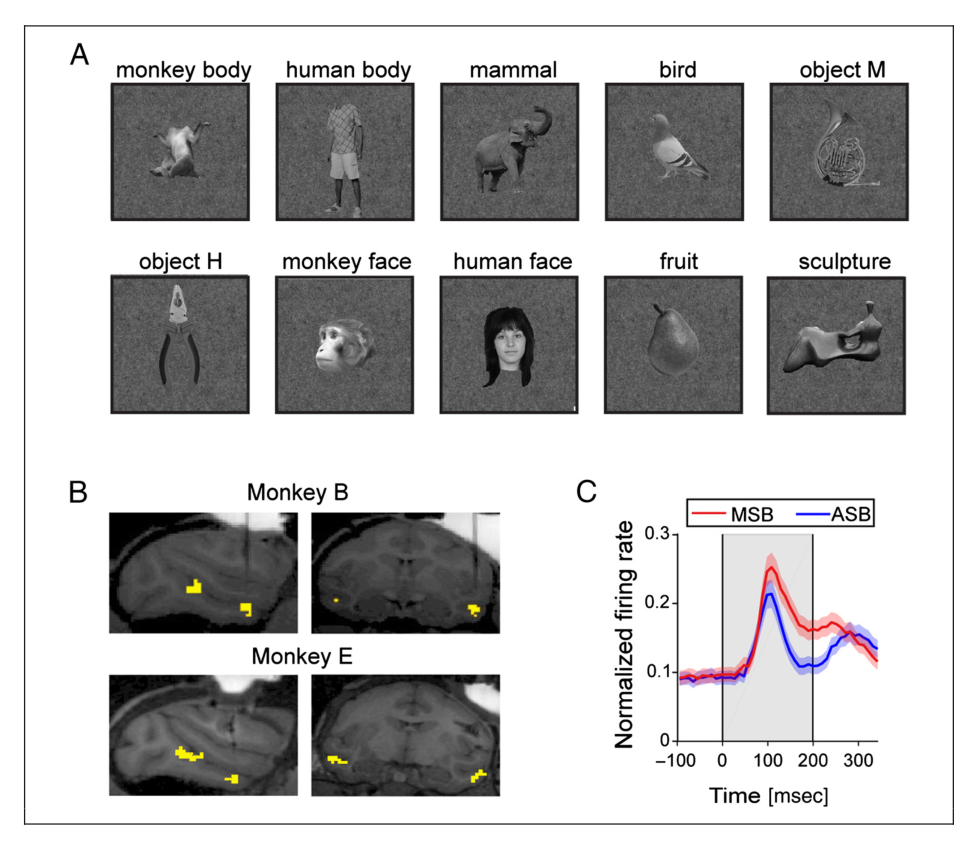 Paper 283 · fig-1