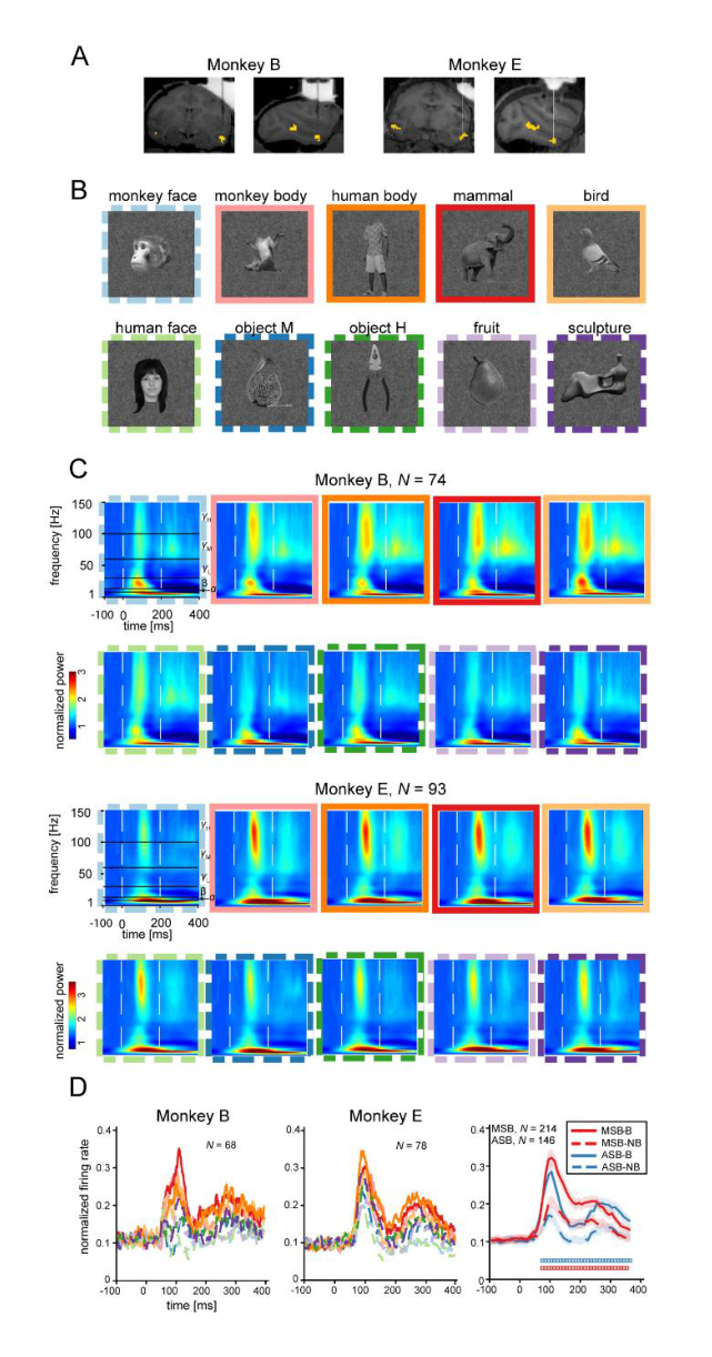 Paper 284 · fig-1