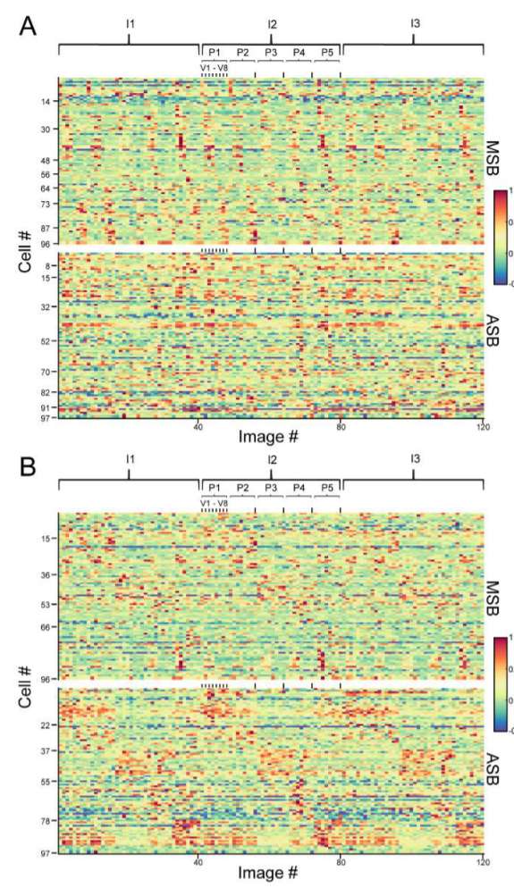 Paper 284 · fig-5