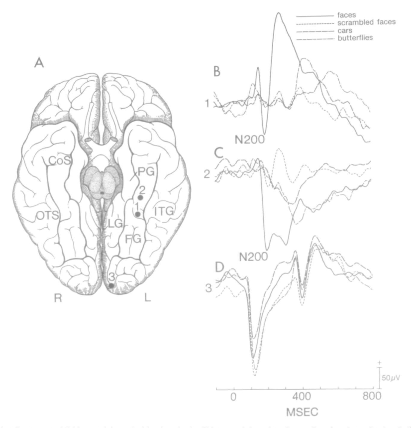 Paper 286 · fig-3