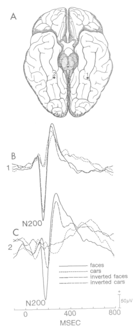 Paper 286 · fig-5