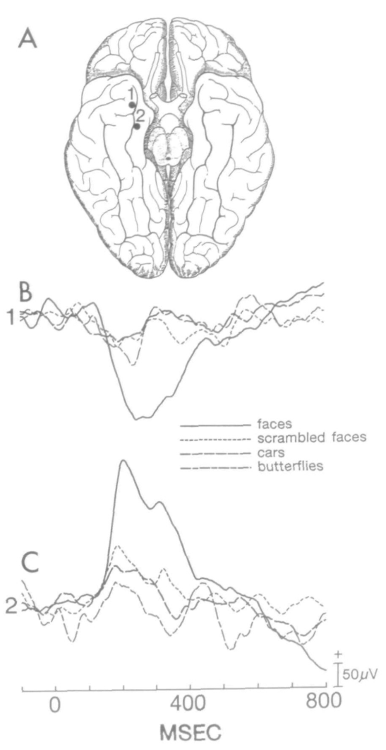 Paper 286 · fig-6