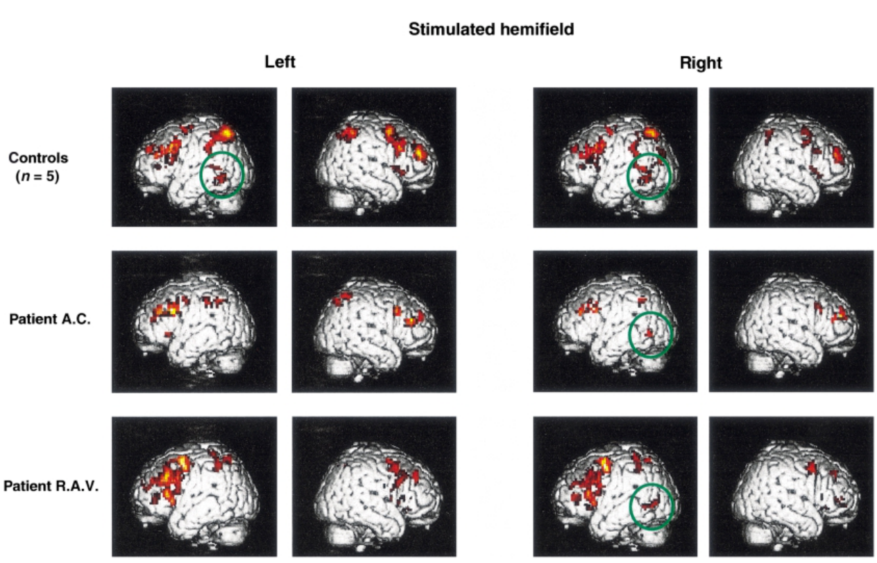 Paper 289 · fig-3