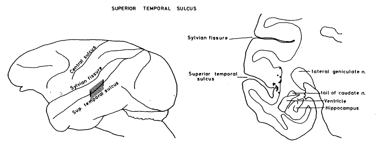 Paper 290 · fig-1