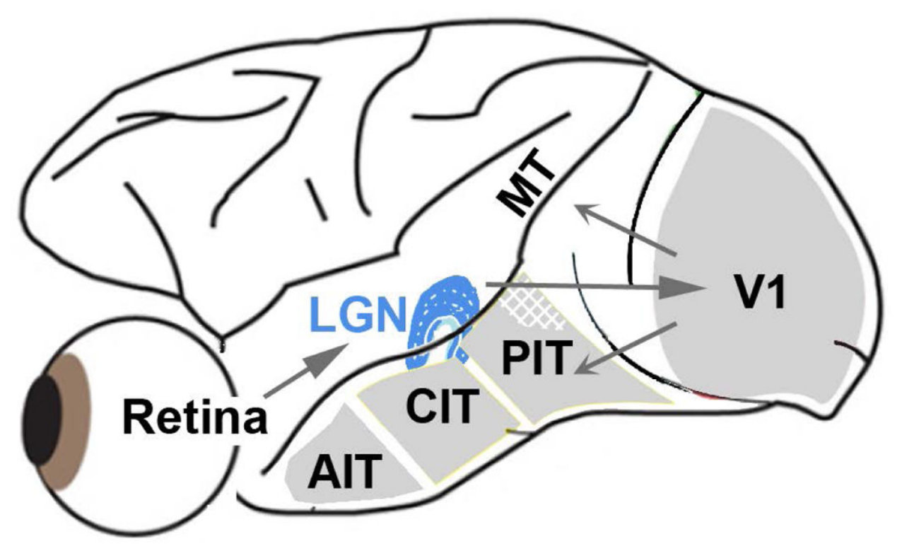 Paper 291 · fig-1