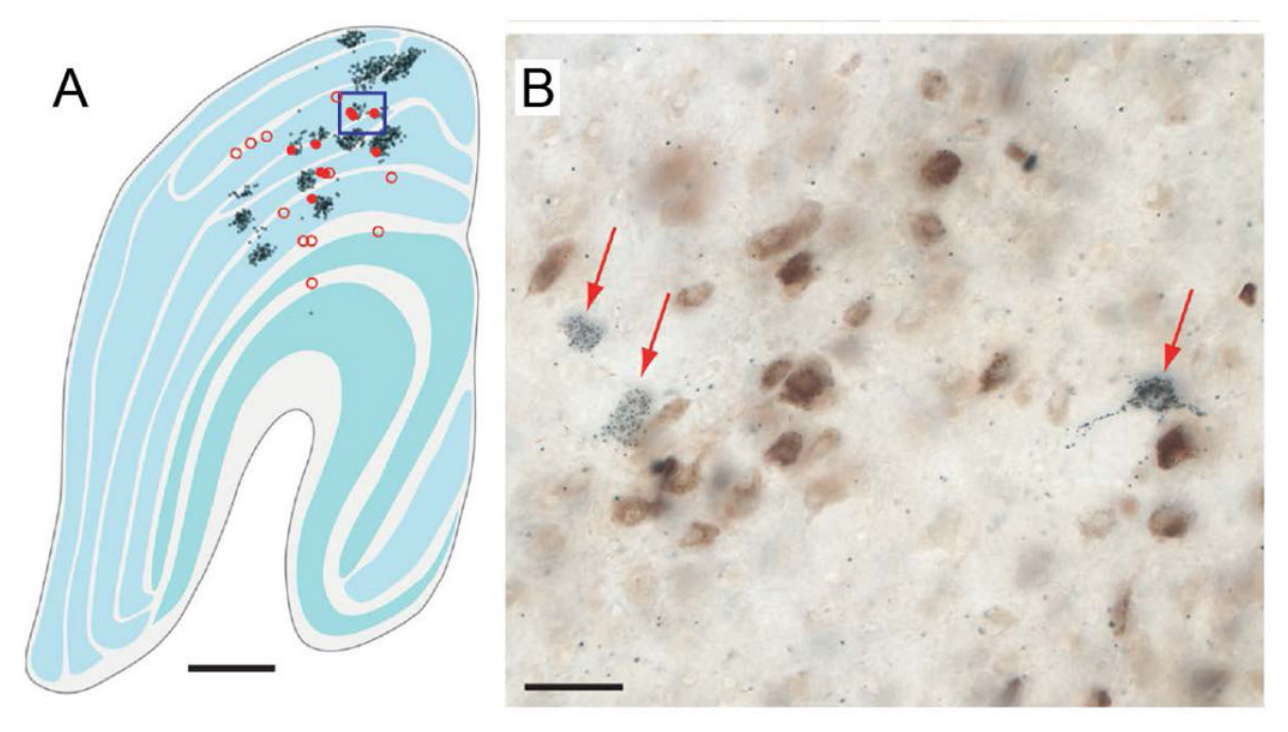 Paper 291 · fig-4