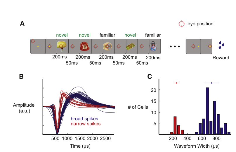 Paper 293 · fig-1