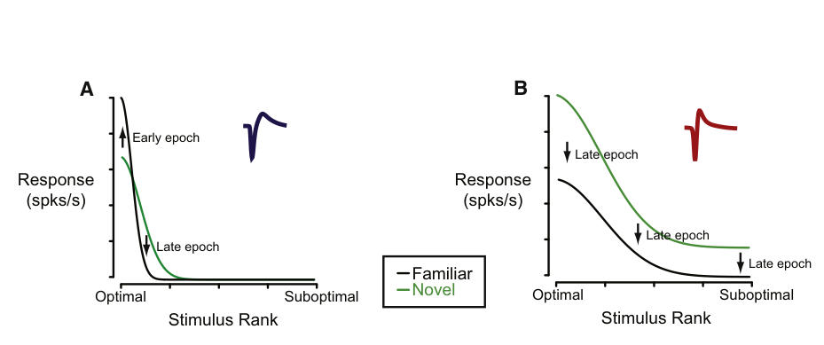 Paper 293 · fig-8