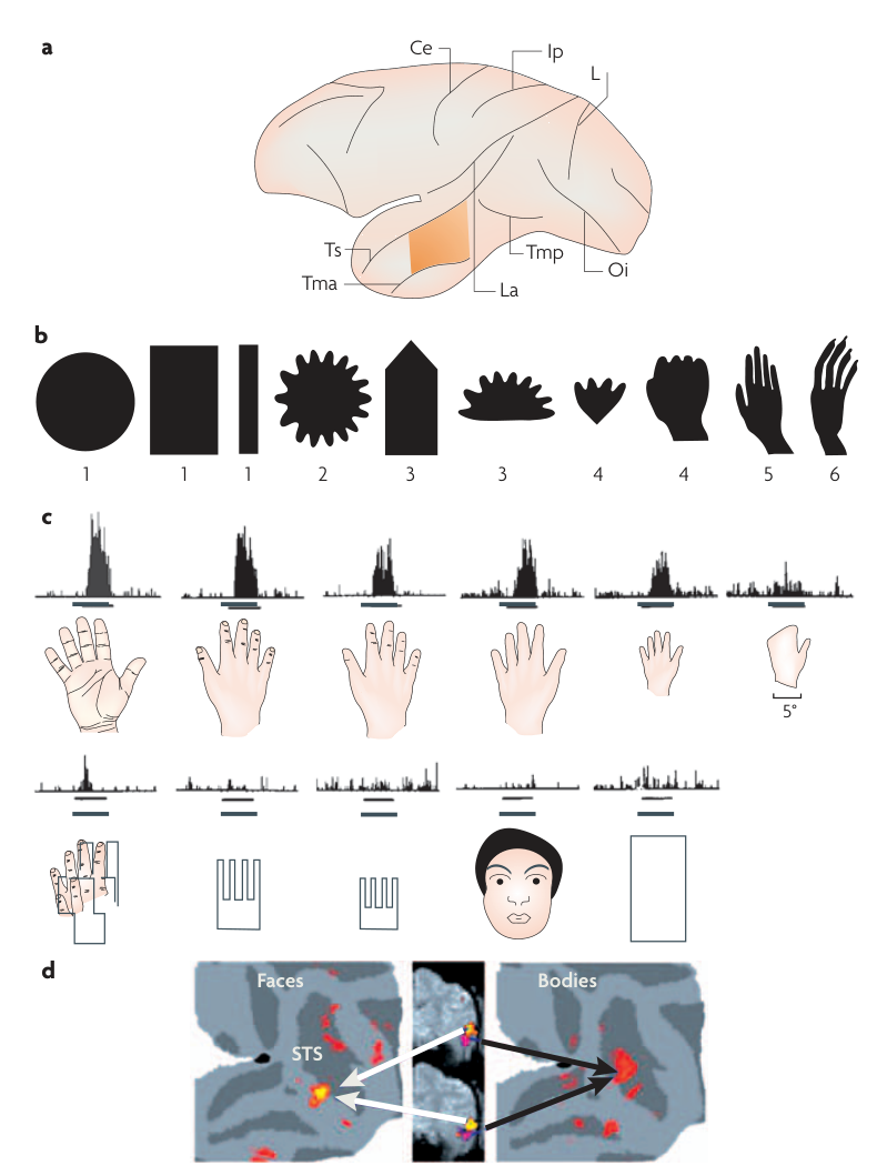 Paper 295 · fig-1