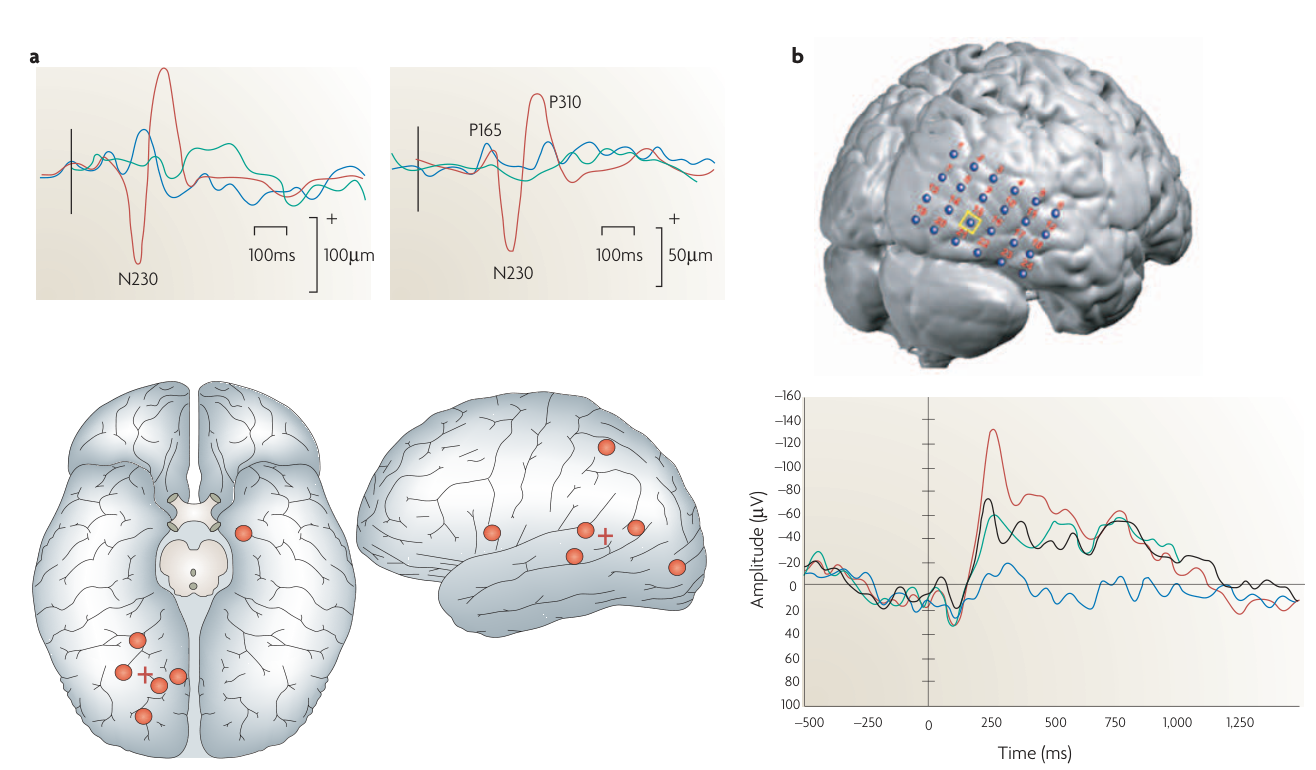 Paper 295 · fig-2