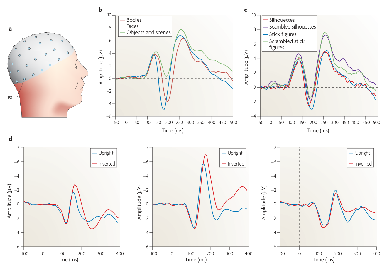 Paper 295 · fig-3