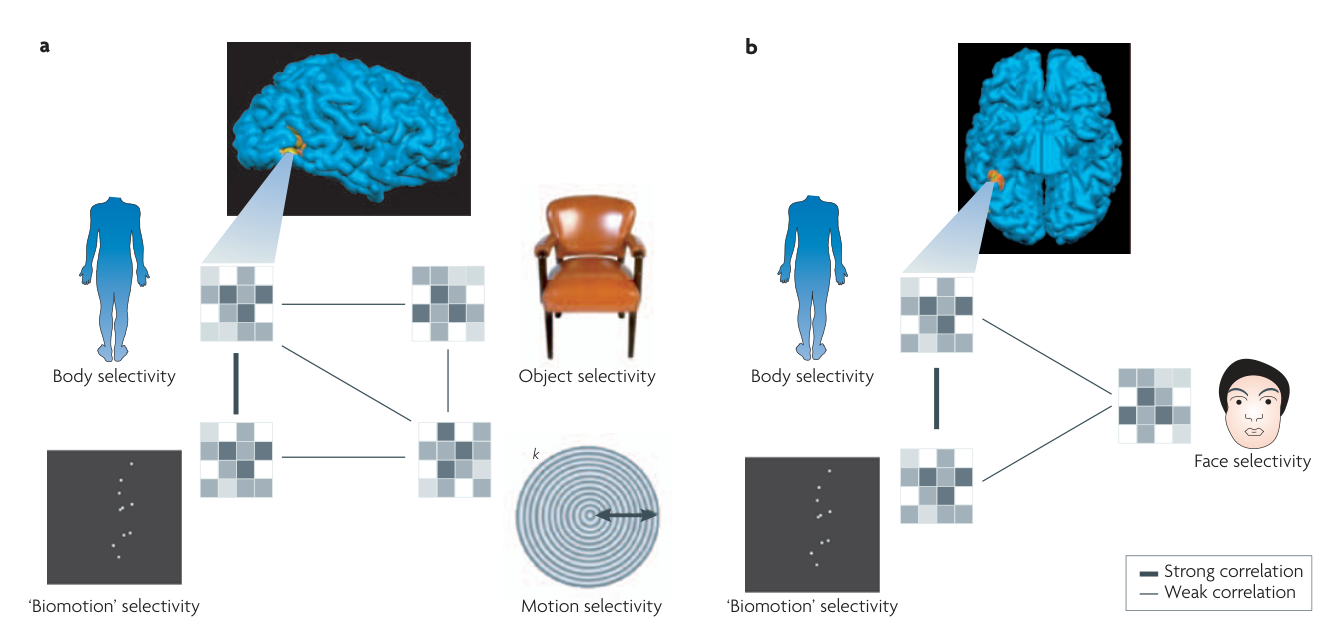 Paper 295 · fig-5