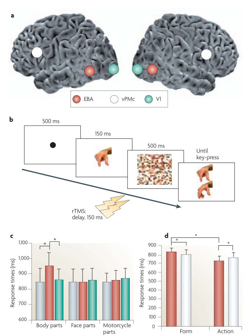 Paper 295 · fig-6