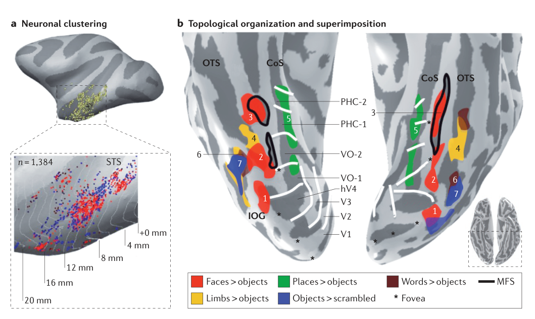 Paper 296 · fig-3