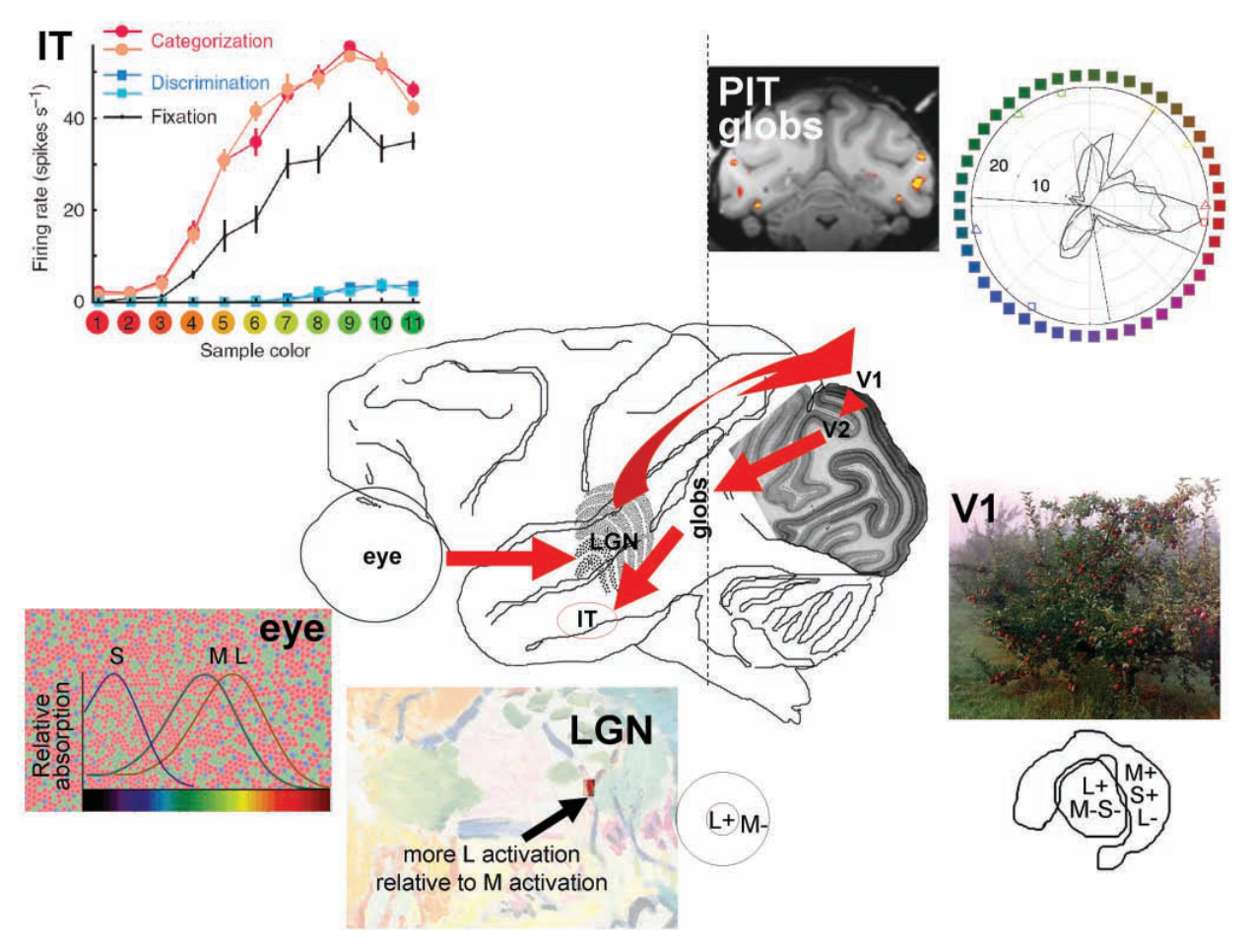 Paper 300 · fig-11