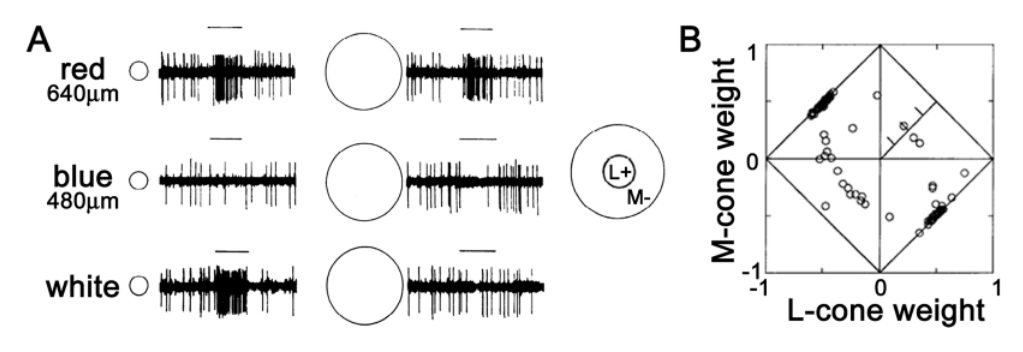 Paper 300 · fig-6