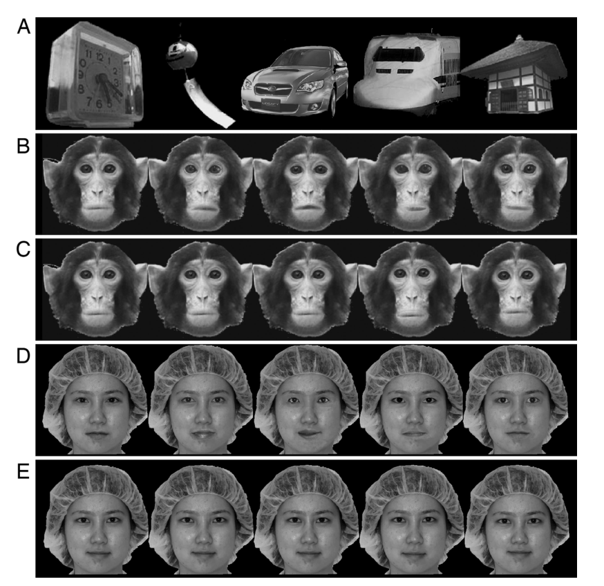 Paper 302 · fig-2