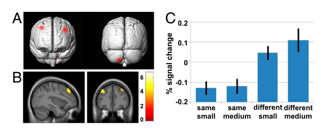 Paper 303 · fig-2