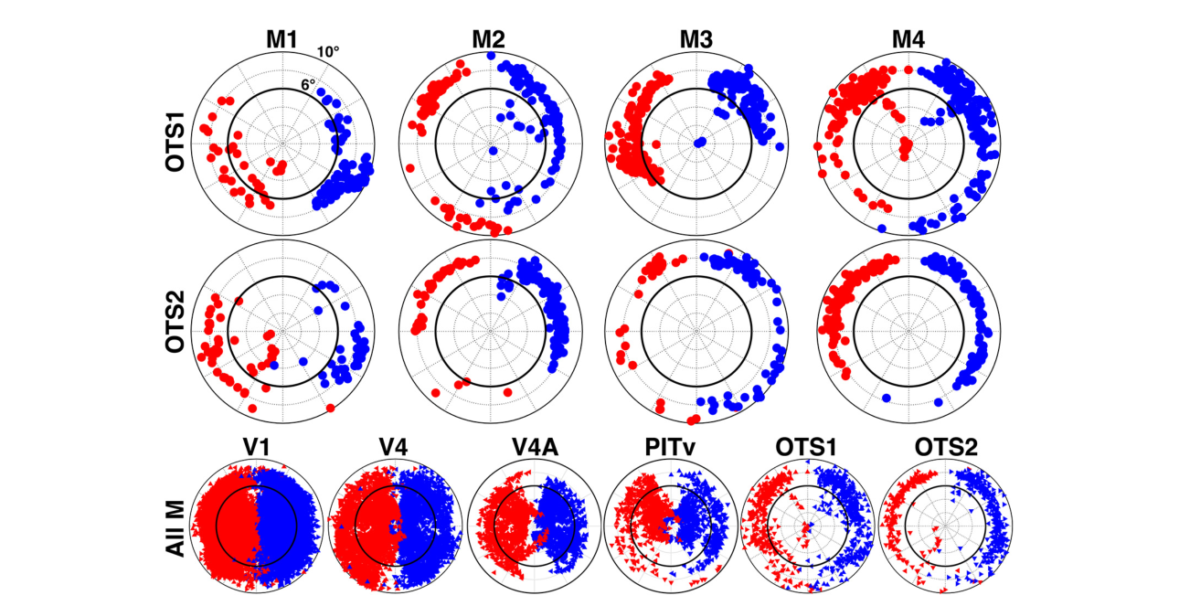 Paper 304 · fig-6