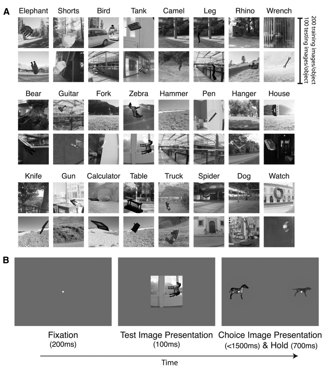 Paper 305 · fig-1