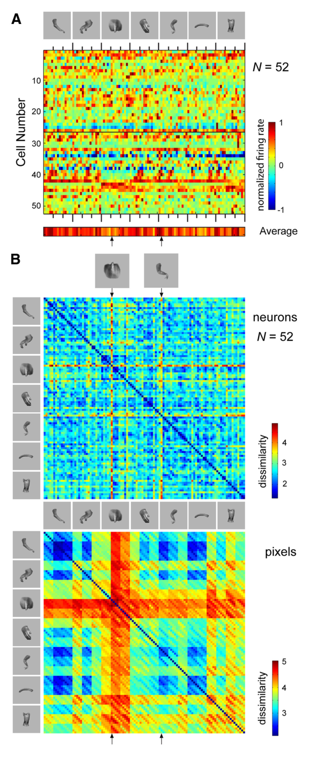Paper 306 · fig-12
