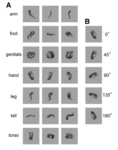 Paper 306 · fig-2