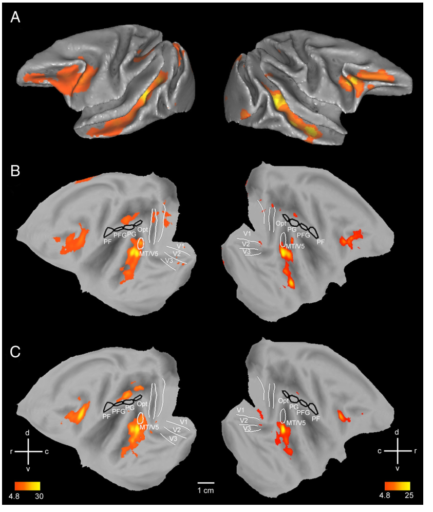 Paper 307 · fig-7