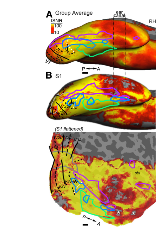 Paper 308 · fig-6