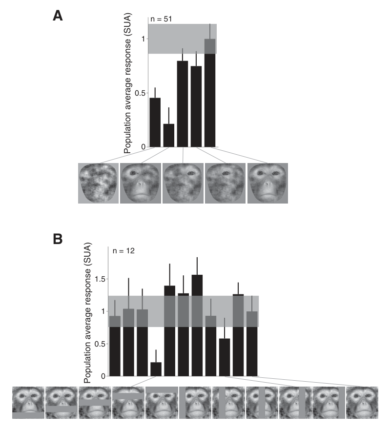 Paper 309 · fig-11
